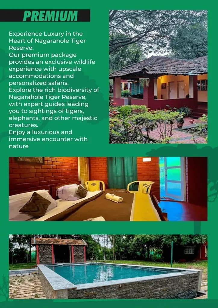 Premium tier: upscale stay with a pool at Nagarhole