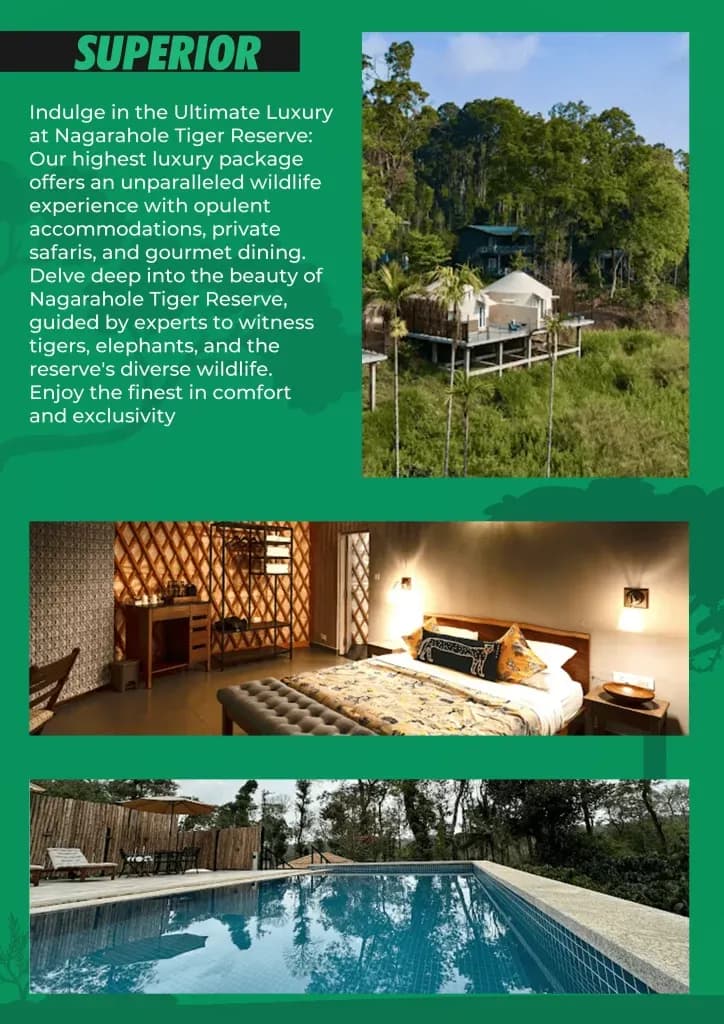 Superior tier: opulent stay with private safaris and gourmet dining at Nagarhole