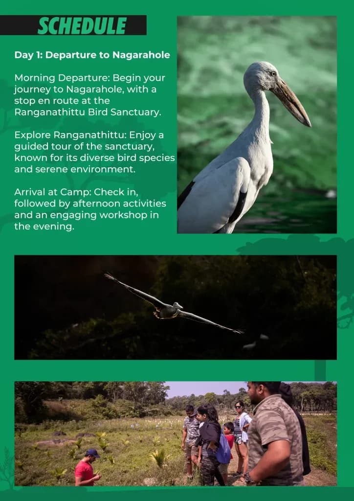 Day 1 schedule: Ranganathittu Bird Sanctuary and arrival at camp