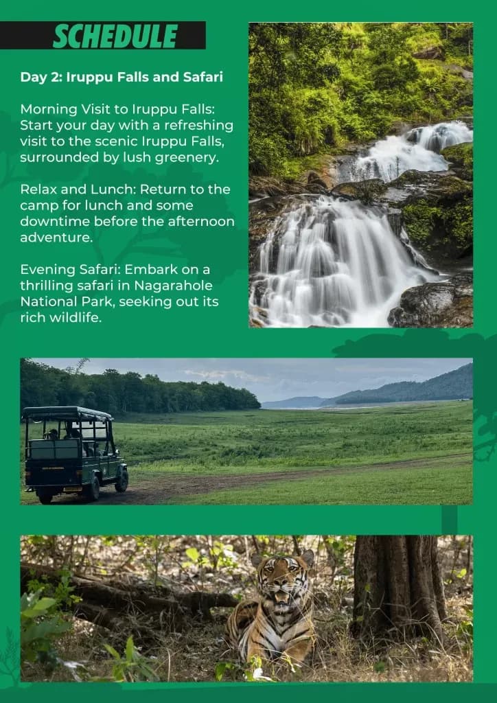 Day 2 schedule: Iruppu Falls and evening safari in Nagarhole National Park