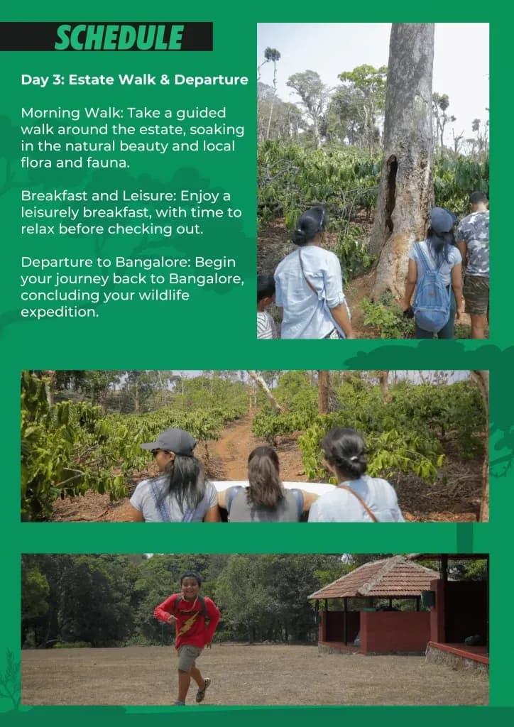Day 3 schedule: guided estate walk and return to Bengaluru