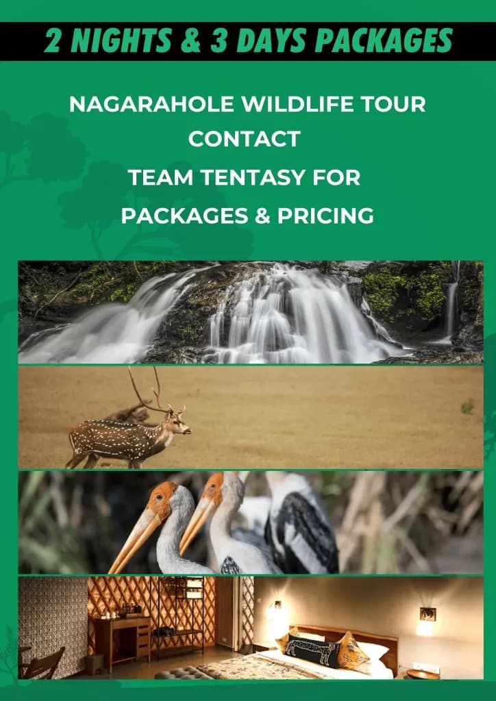 Nagarhole 2 nights and 3 days package, contact Team Tentasy for pricing