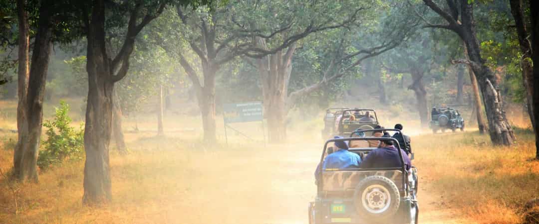 Safari jeep driving through a misty forest on a Tentasy educational tour