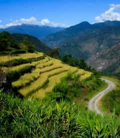 Ziro Valley