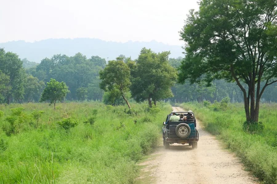 Safari jeep on a grassland track through central Indian forest