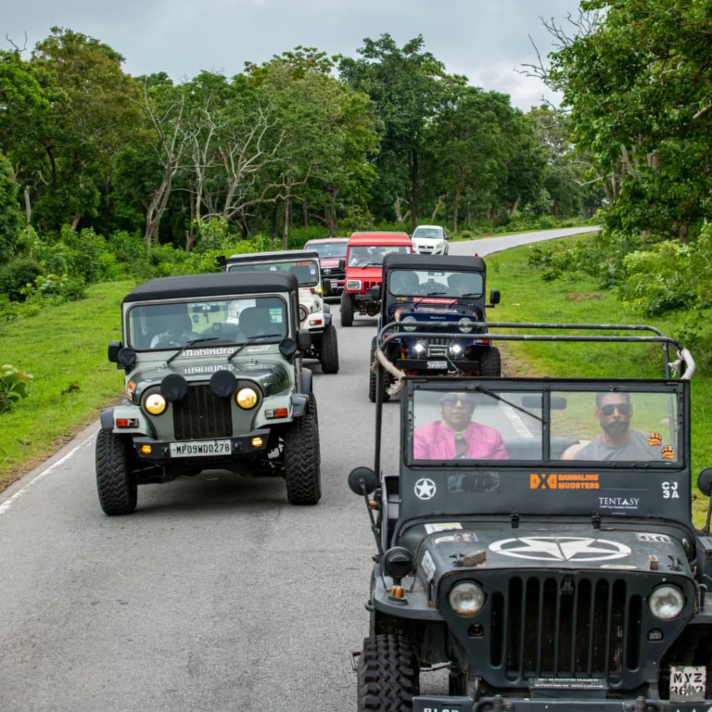 Overlanding expedition camp at dusk