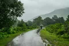 Bhadra