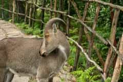 Munnar