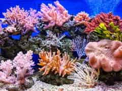 Marine National Park