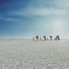 Little Rann of Kutch
