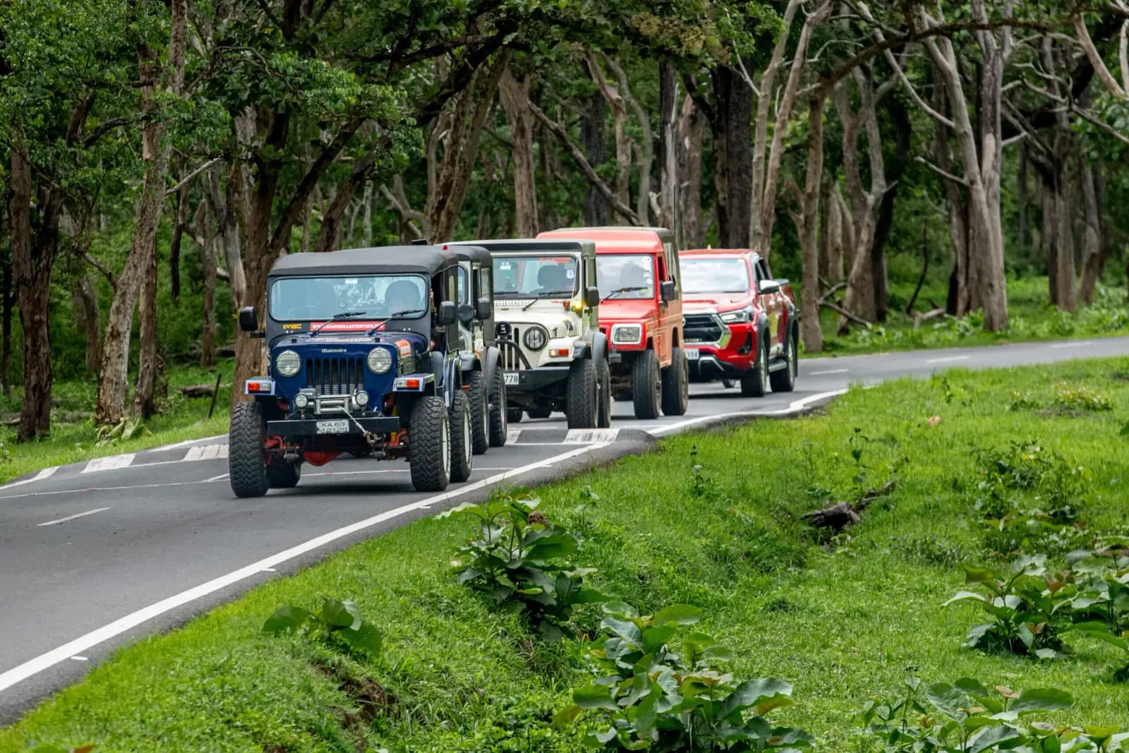 Safari jeeps driving along a forest road on a Tentasy private tour