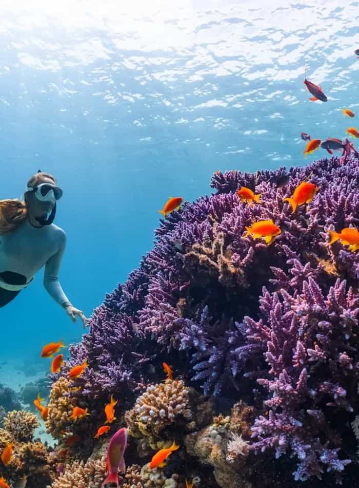 Diver exploring a colourful coral reef