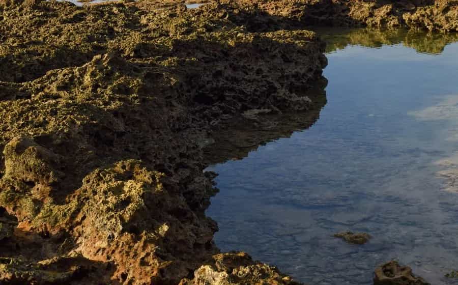 Gulf of Mannar