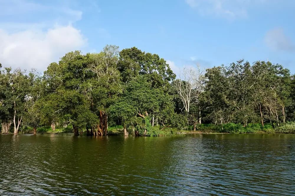 Kabini reservoir waters and tree line
