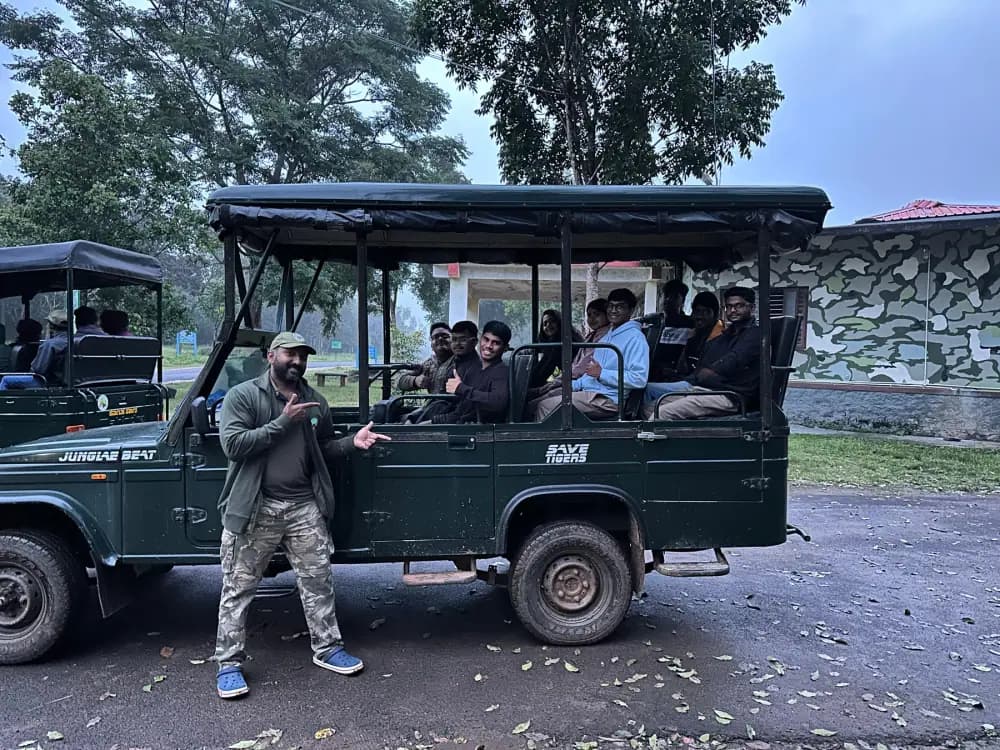 Wildlife safari