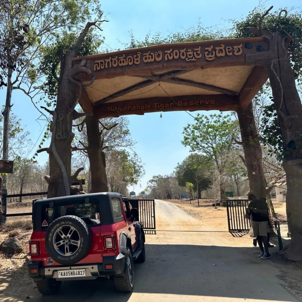 Wildlife eco-tourism camp in an Indian forest